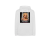 15.webp