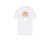 23.png