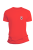 23.png
