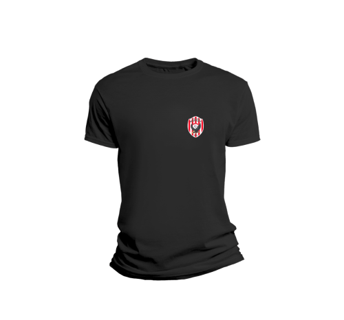 T-shirt (1920 x 1080 px)-4.png