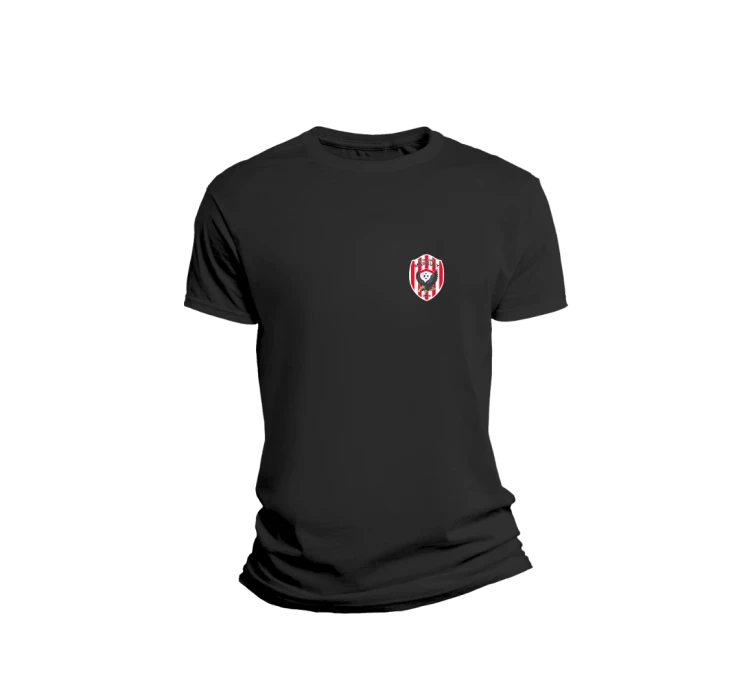 T-shirt (1920 x 1080 px)-4.png